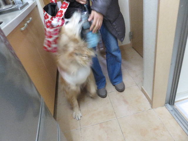 ファイル 5529-3.jpg