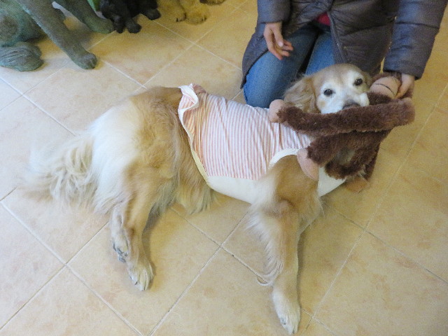 ファイル 5529-4.jpg