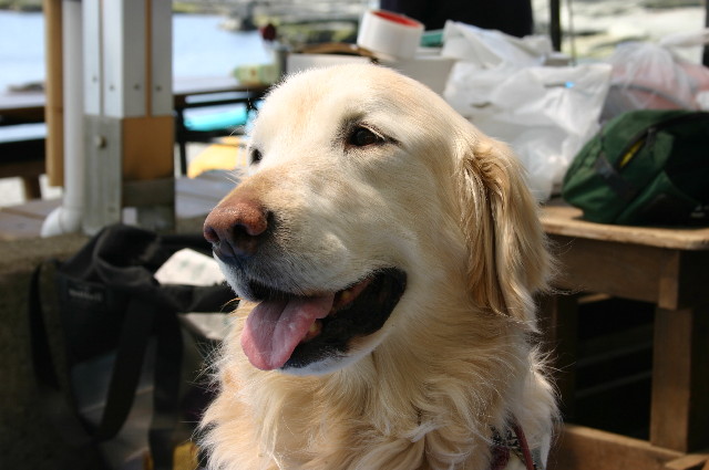 ファイル 553-1.jpg