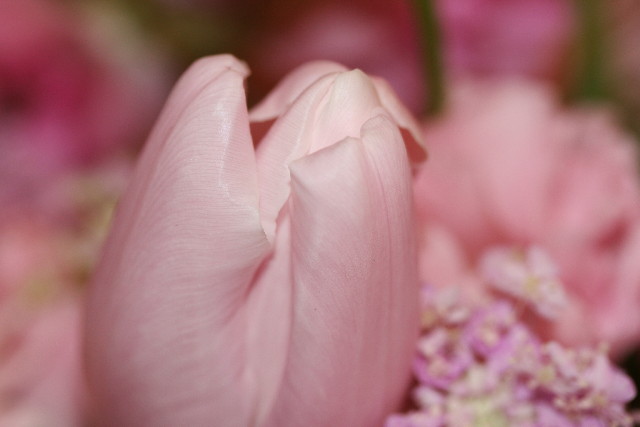 ファイル 553-2.jpg