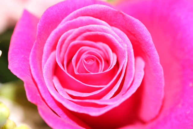 ファイル 553-5.jpg