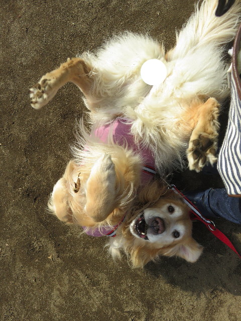 ファイル 5530-3.jpg