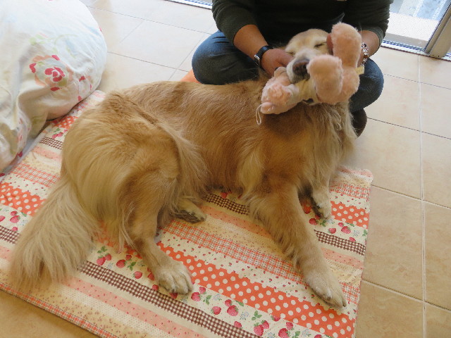 ファイル 5530-5.jpg