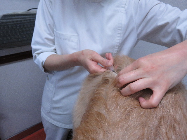 ファイル 5531-5.jpg