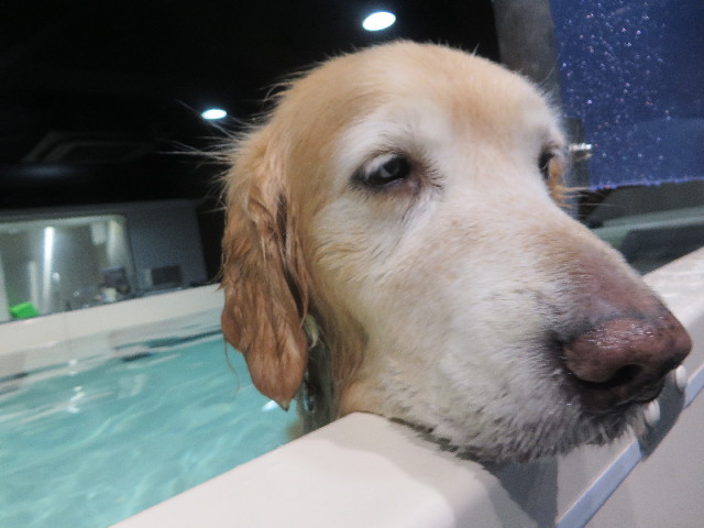 ファイル 5532-2.jpg