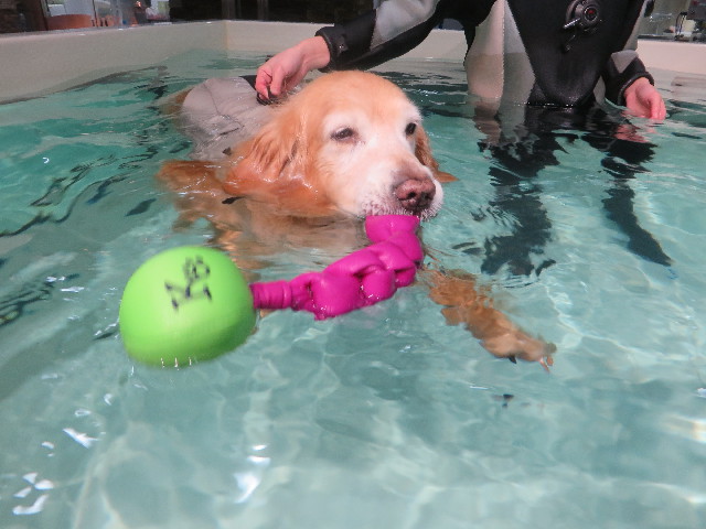 ファイル 5532-3.jpg