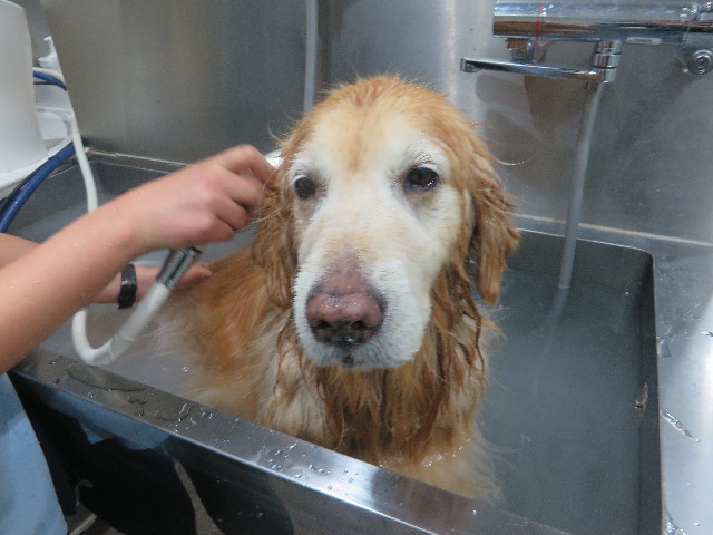 ファイル 5532-5.jpg