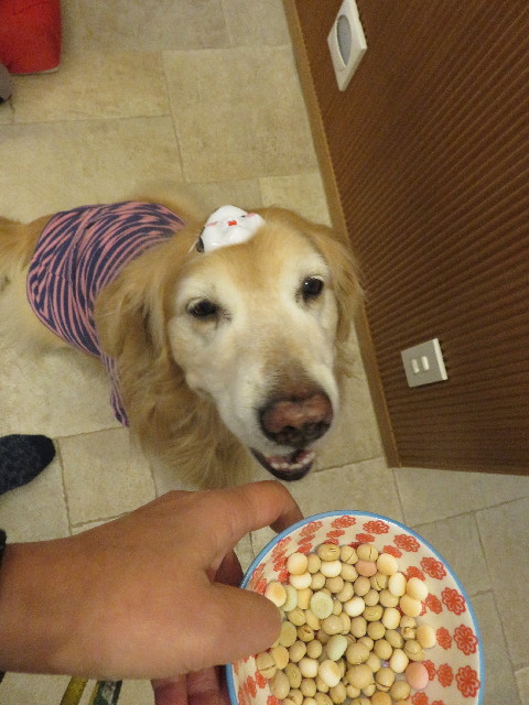 ファイル 5533-1.jpg