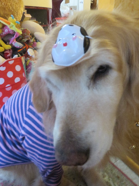 ファイル 5533-2.jpg