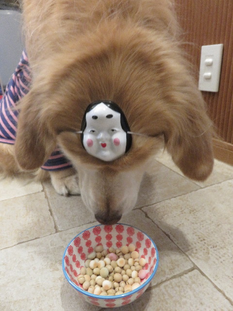 ファイル 5533-3.jpg