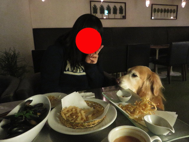 ファイル 5533-4.jpg