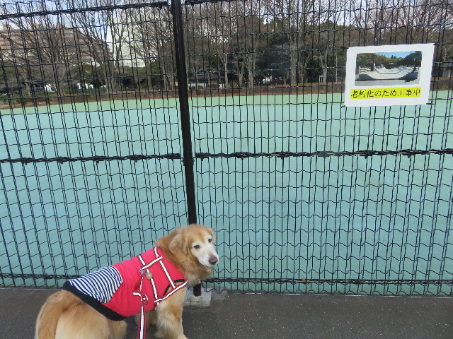 ファイル 5534-5.jpg