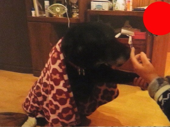 ファイル 5536-4.jpg