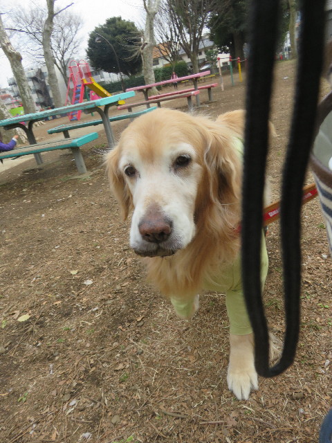 ファイル 5537-2.jpg