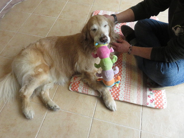 ファイル 5538-5.jpg