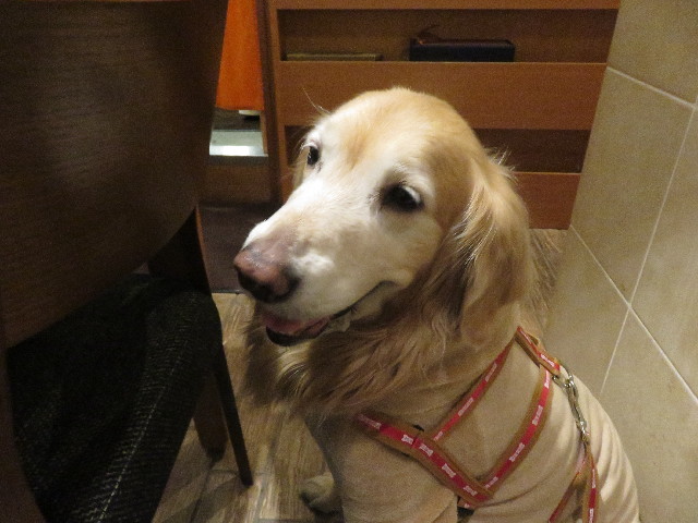 ファイル 5539-2.jpg