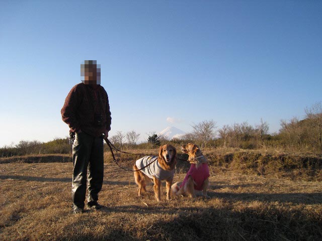 ファイル 554-3.jpg