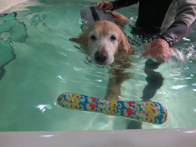 ファイル 5540-2.jpg