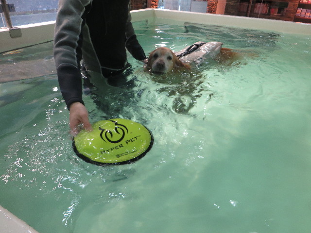 ファイル 5540-4.jpg