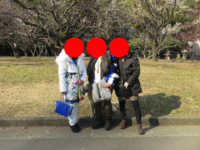 ファイル 5542-2.jpg