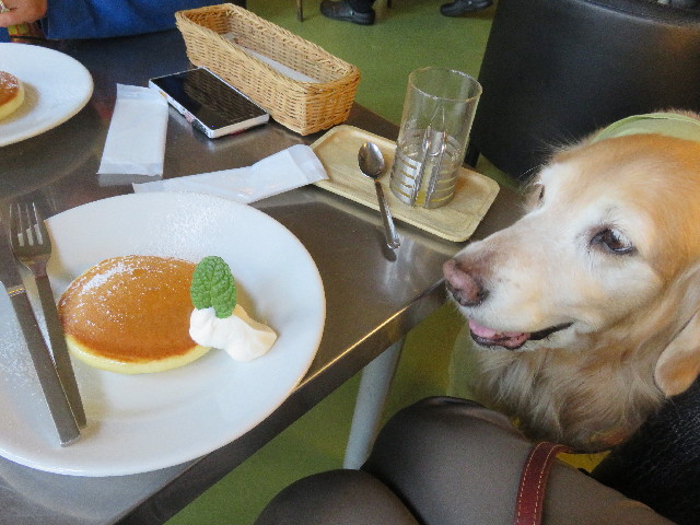 ファイル 5542-5.jpg