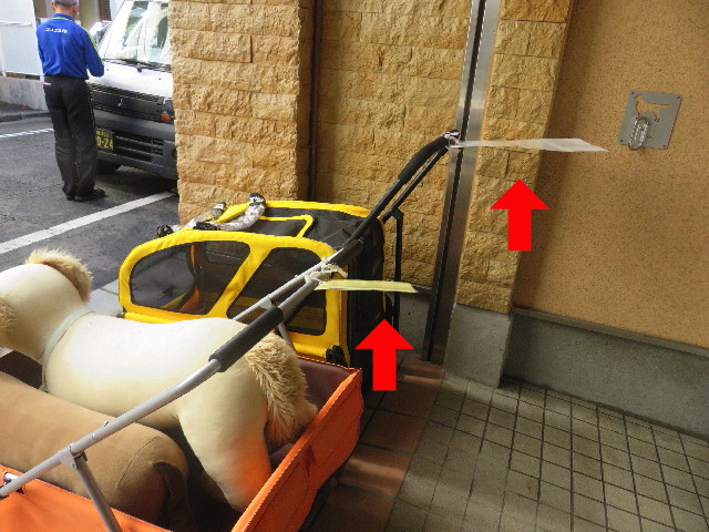 ファイル 5546-1.jpg