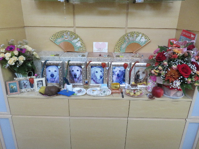 ファイル 5546-2.jpg