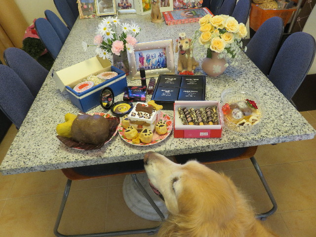 ファイル 5546-3.jpg