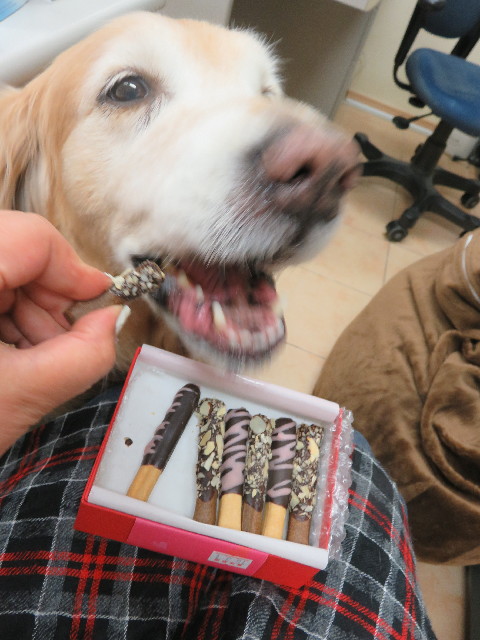 ファイル 5546-5.jpg