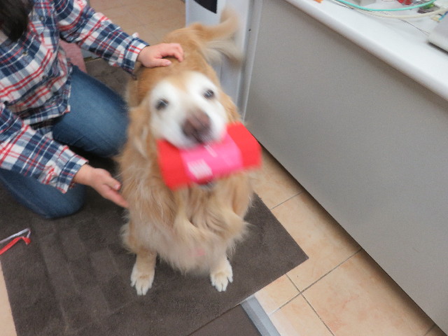 ファイル 5547-1.jpg