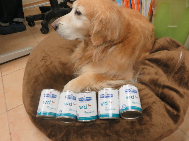 ファイル 5548-5.jpg