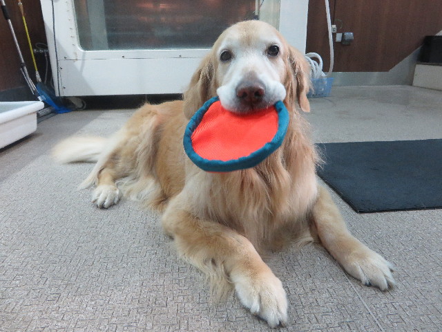 ファイル 5549-1.jpg