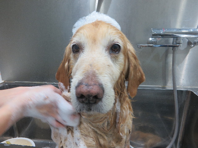 ファイル 5549-5.jpg