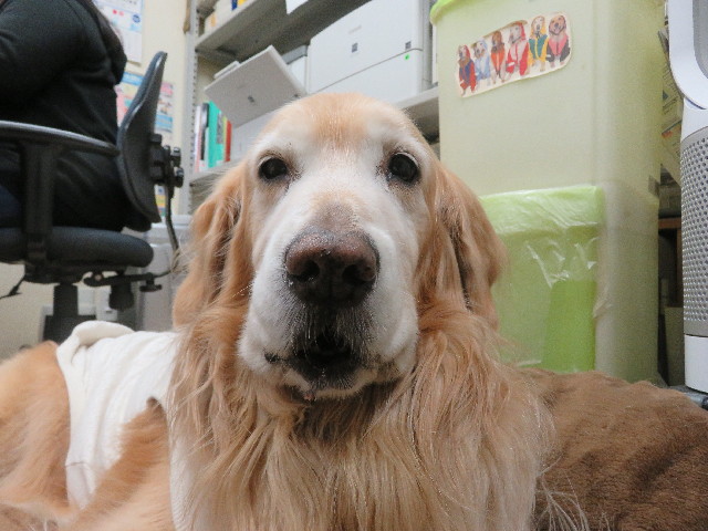 ファイル 5550-5.jpg