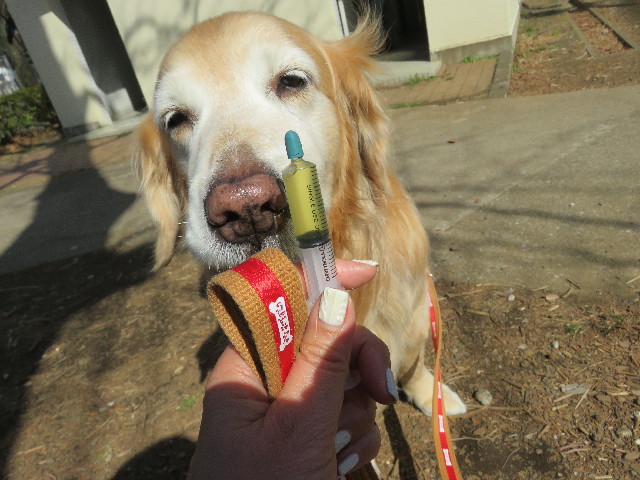 ファイル 5551-2.jpg