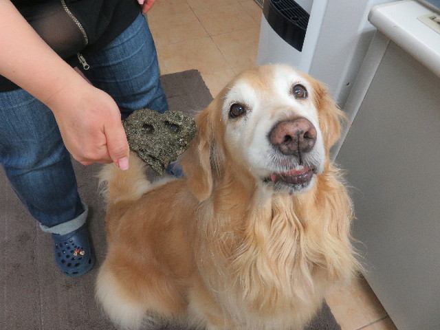 ファイル 5552-4.jpg