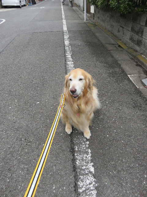 ファイル 5553-2.jpg