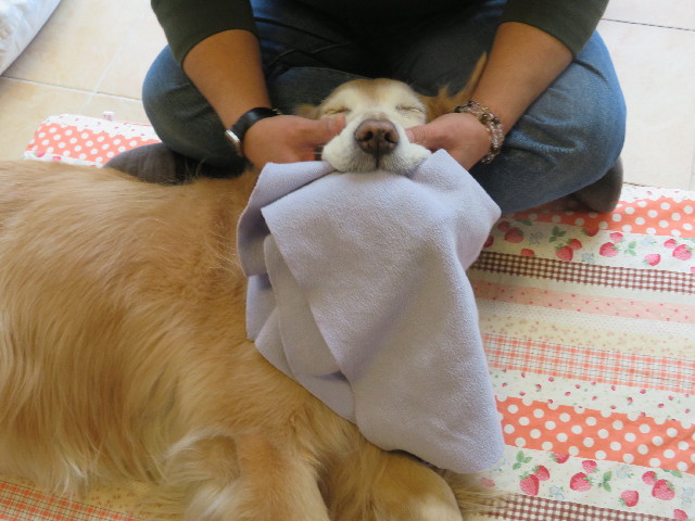 ファイル 5553-4.jpg