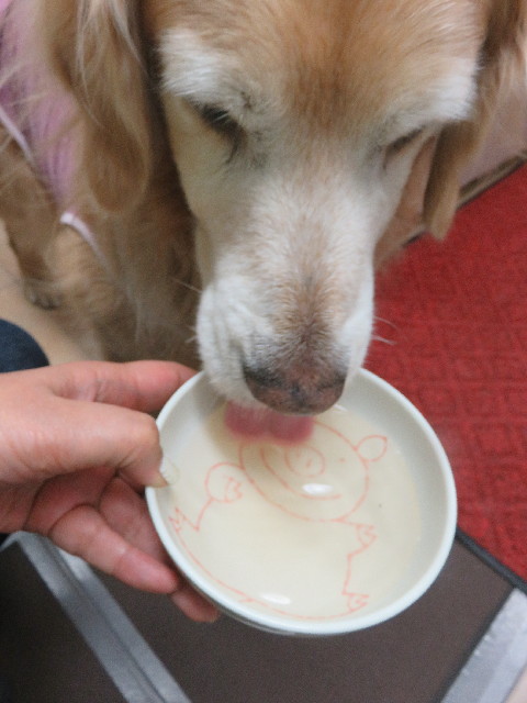 ファイル 5559-5.jpg