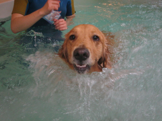 ファイル 556-3.jpg