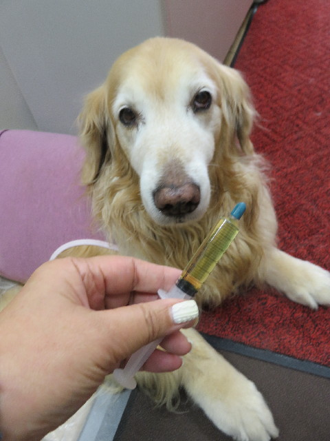 ファイル 5560-3.jpg