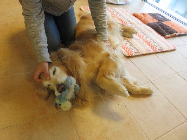 ファイル 5561-5.jpg