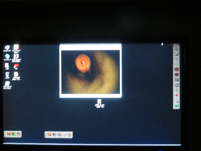 ファイル 5562-3.jpg