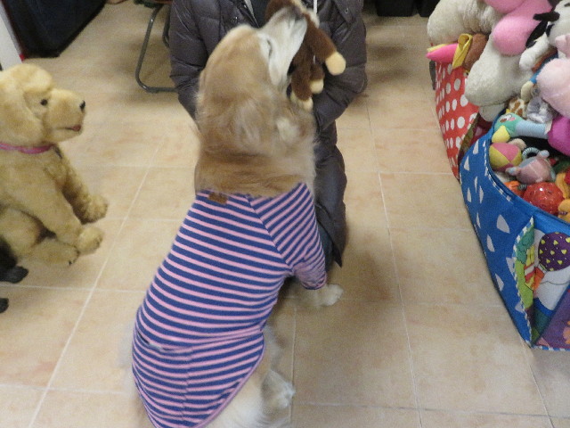 ファイル 5562-5.jpg