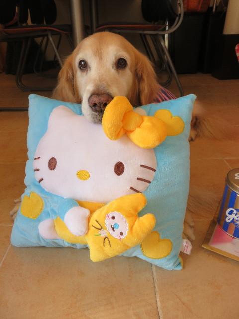 ファイル 5563-2.jpg