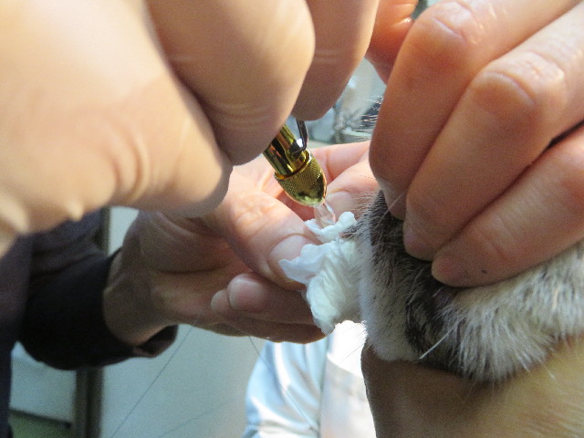 ファイル 5565-3.jpg