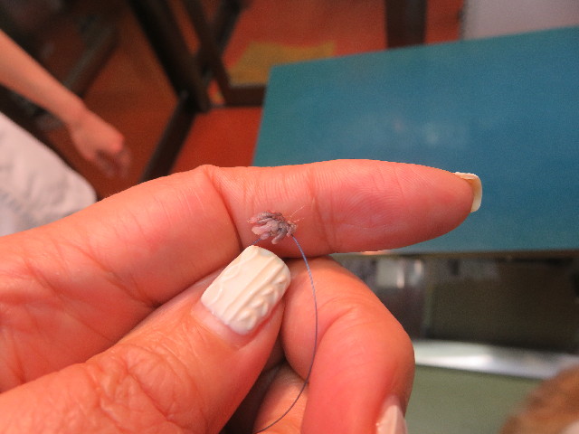 ファイル 5565-4.jpg