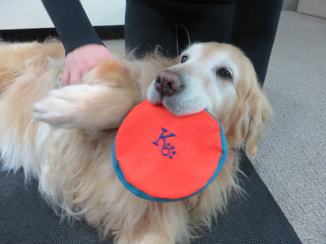 ファイル 5566-1.jpg