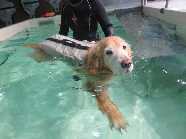 ファイル 5566-2.jpg