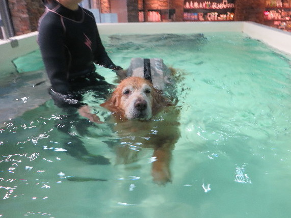 ファイル 5566-3.jpg